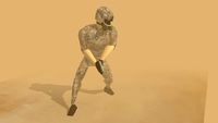 Desert Soldier 2