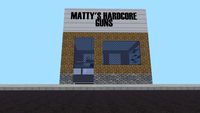 Matty's Hardcore Guns