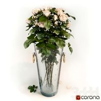 розы roses