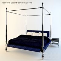 ipe cavalli / cador