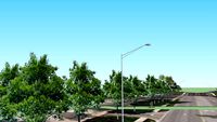 Trees and Street Lights along Higgins Rd near 9701