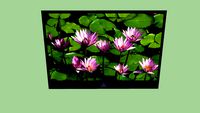 LCD Fernseher