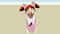 smokin chiyo cat