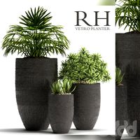 PLANTS 42