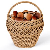Wicker Basket 01 with Mushrooms3d model