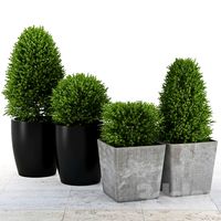 Collection of Plants 3