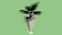 VASO ALTO COM PLANTA / PALMEIRINHA
