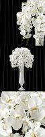 Orchid (phalaenopsis) bouquet