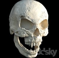 Skull Vampire