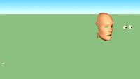 Male face.