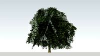 Tree version 2