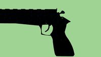 Beretta 87 Target (Model A)