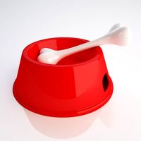 Bowl Pet and Bone 3D Model