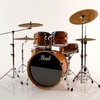 Pearl Drum Vision Brich 3D Model