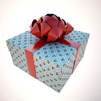 A holiday package box 3D Model