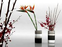 Xiral Segard Konkurito Vases