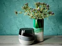 Eryngium in Multi Colored Vase