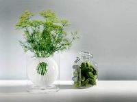 Dill Flowers and Cucumbers Set